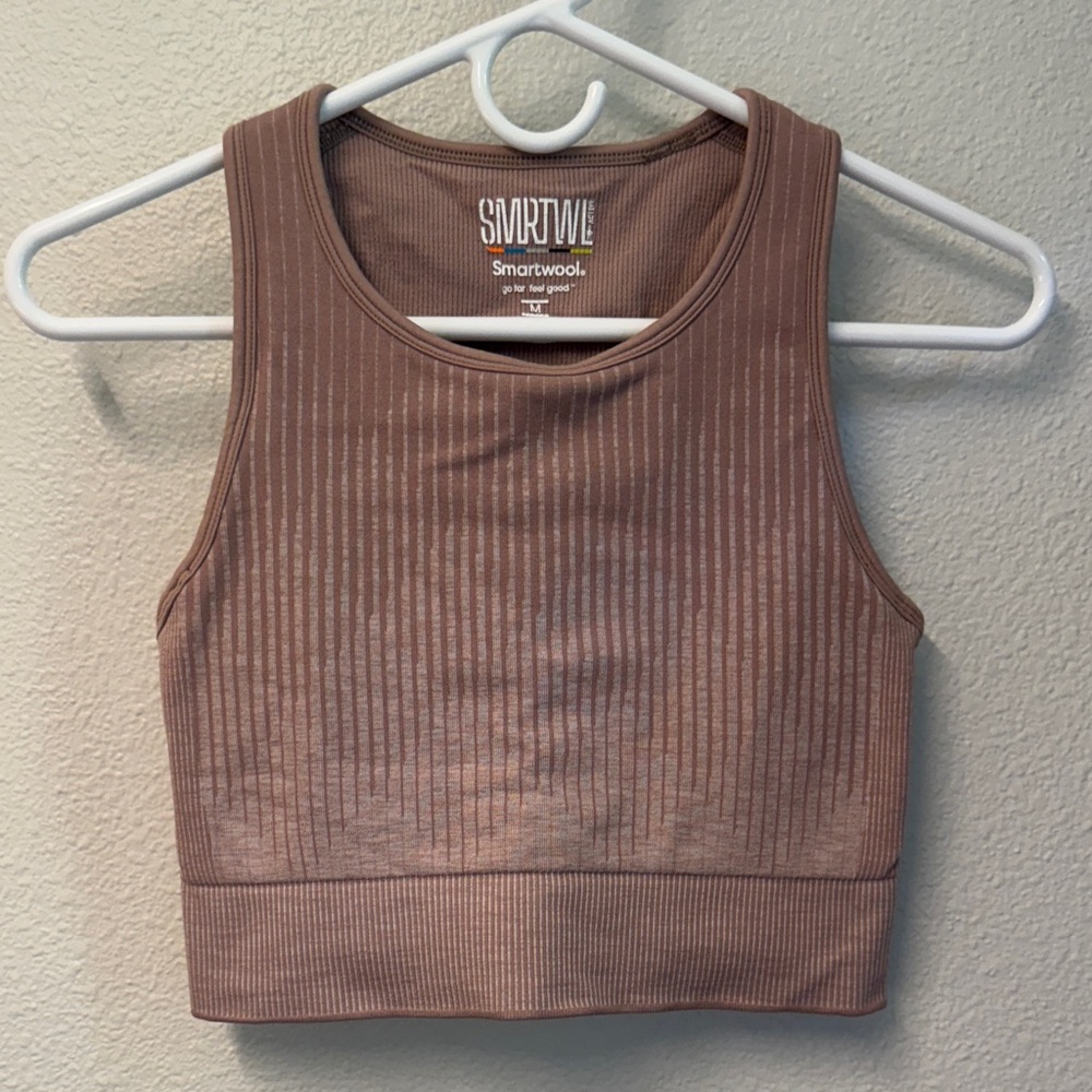 Smartwool Mauve long line bra / crop top